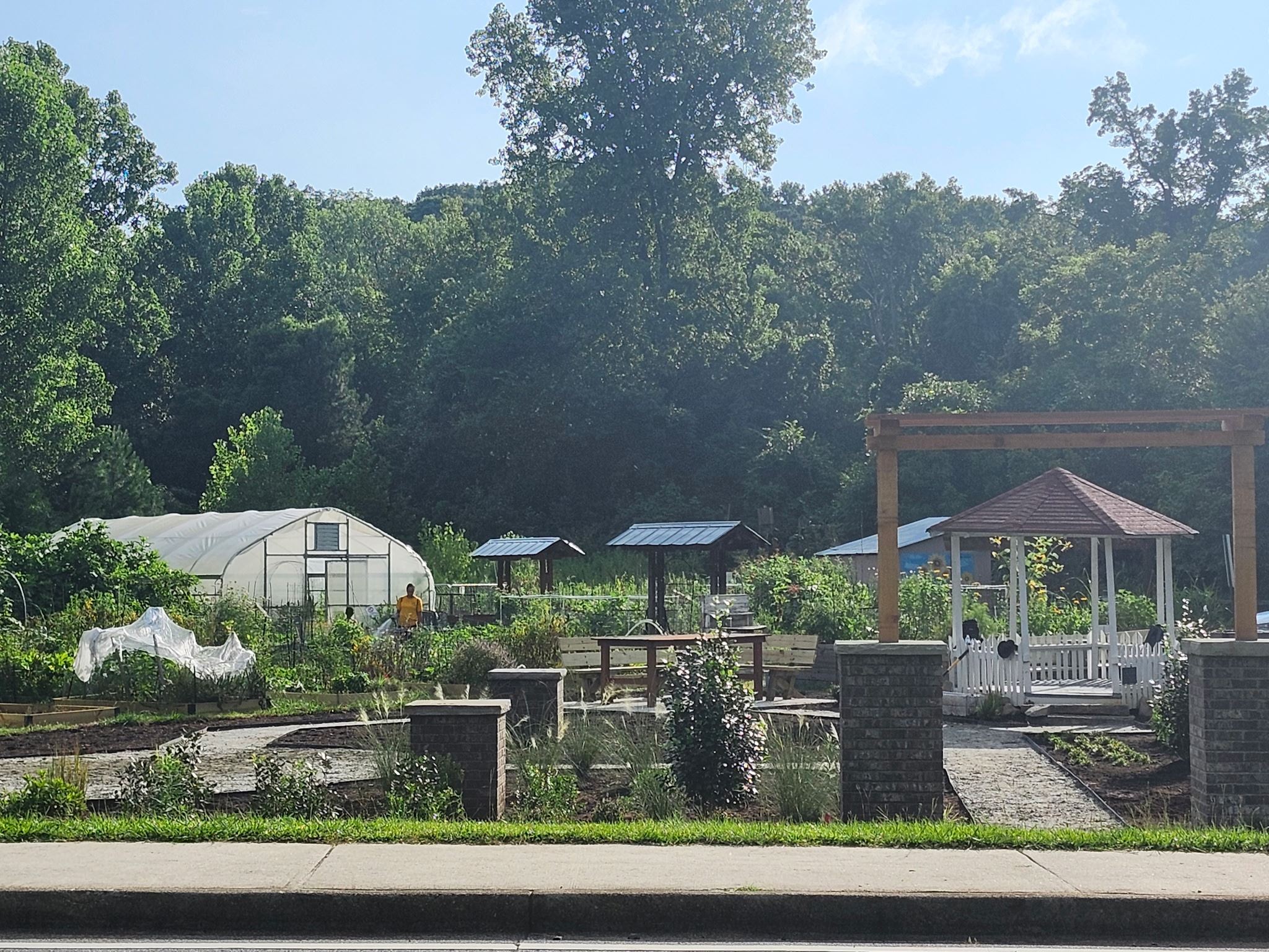 garden with pergola, gazebo, greenhouse, and plants